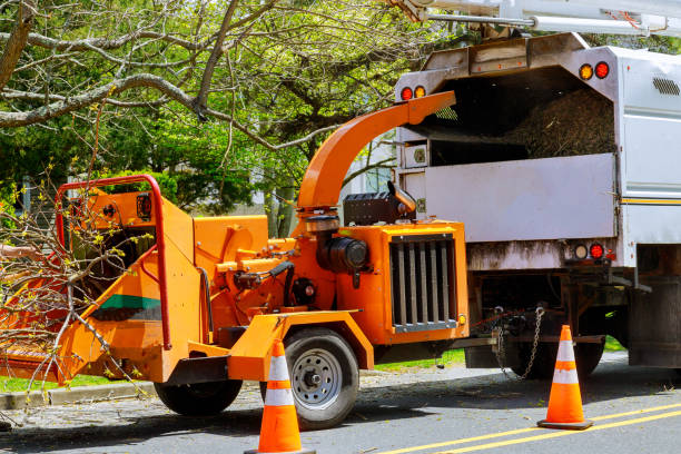 How Our Tree Care Process Works  in Bogart, GA